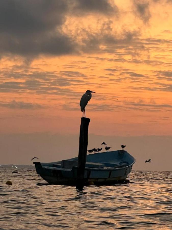 Tu Casa En El Caribe Lägenhet Cancún Exteriör bild