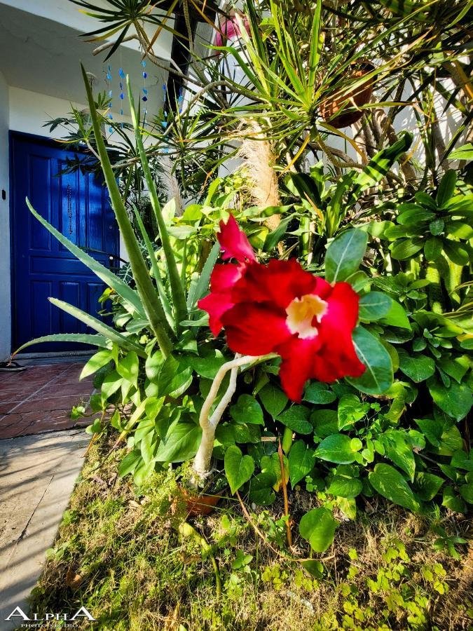 Tu Casa En El Caribe Lägenhet Cancún Exteriör bild