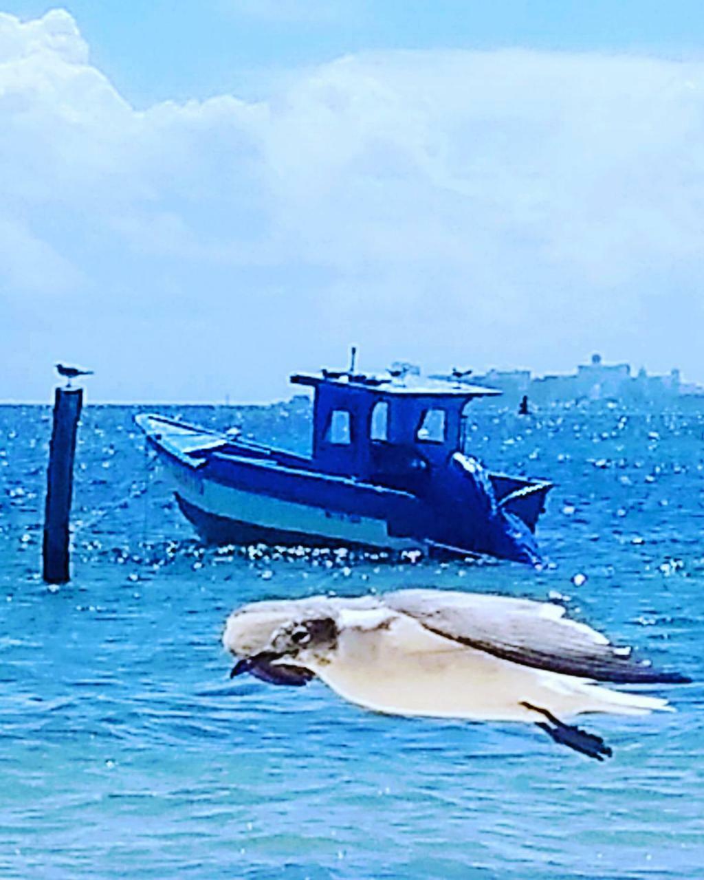 Tu Casa En El Caribe Lägenhet Cancún Exteriör bild